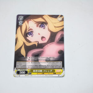 Toaru Kagaku no Railgun - Frenda Seivelun - RG/W26-004 R