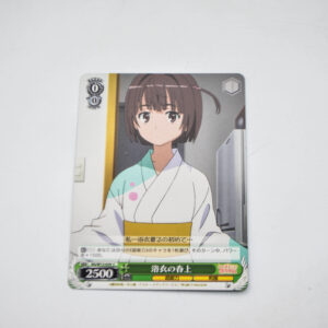 Toaru Kagaku no Railgun - RG/W13-039 C