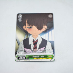 Toaru Kagaku no Railgun - RG/W10-040 C