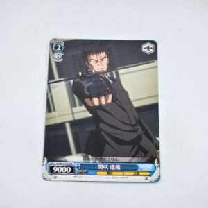 Toaru Majutsu no Index -  ID/W13-095 C