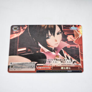 Vocaloid - Hatsune Miku Project Diva - Meiko - PD/S29-085S SR