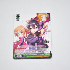Sword Art Online Alicization - Kirito & Fizel & Linel, Alicization Rising - Karta Weiss Schwarz - SAO/S71-047 C