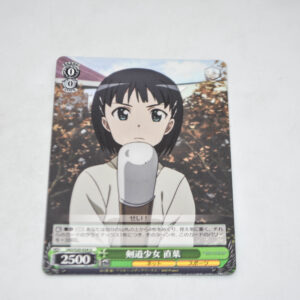 Sword Art Online - Suguha, Kendo Girl - Karta Weiss Schwarz - SAO/S20-034 U