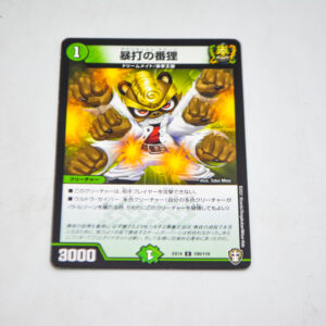 Duel Masters - Arashirush Raccoon - DMEX-14 100/110 C