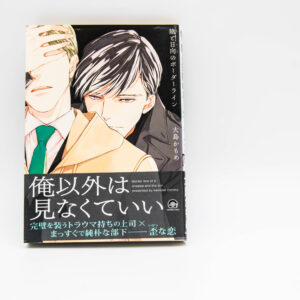 R16 Border Line of a shadow and the sun  - Manga po japońsku BL