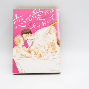 R16 Will you set love aside - Manga po japońsku BL