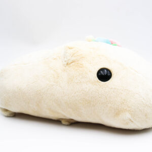 Capybara-san - White - Duży Pluszak