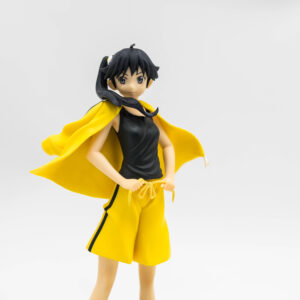 Bakemonogatari - Nisemonogatari - Araragi Karen - DX